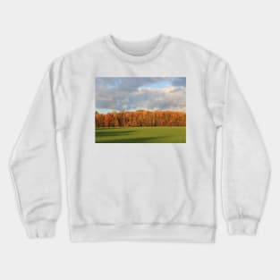 Wall of Trees Catching The Morning Sun Crewneck Sweatshirt